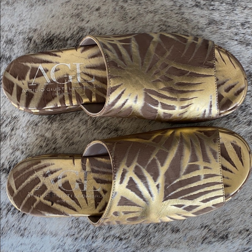 AGL Designer slides